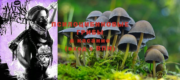 скорость Абаза