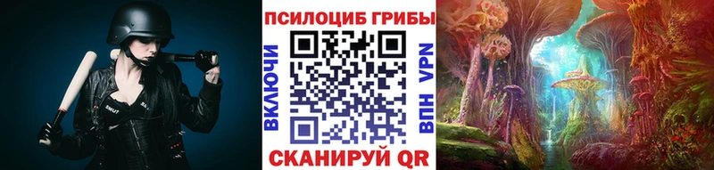 OMG ссылка  Полевской  Псилоцибиновые грибы MAGIC MUSHROOMS 